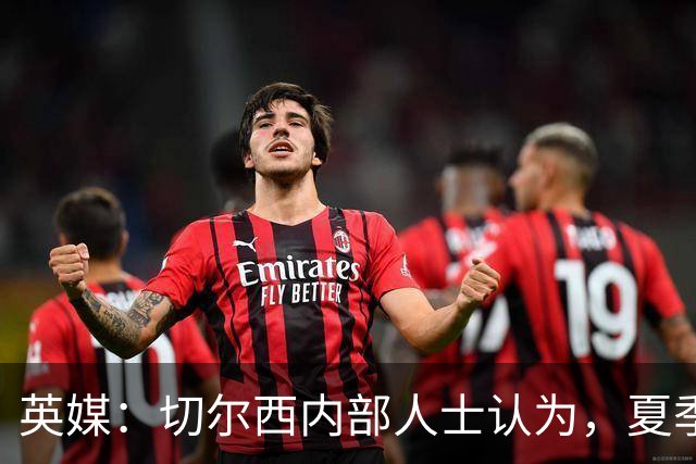 英媒：切尔西内部人士认为，夏季转会窗口的操作堪称巨大成功